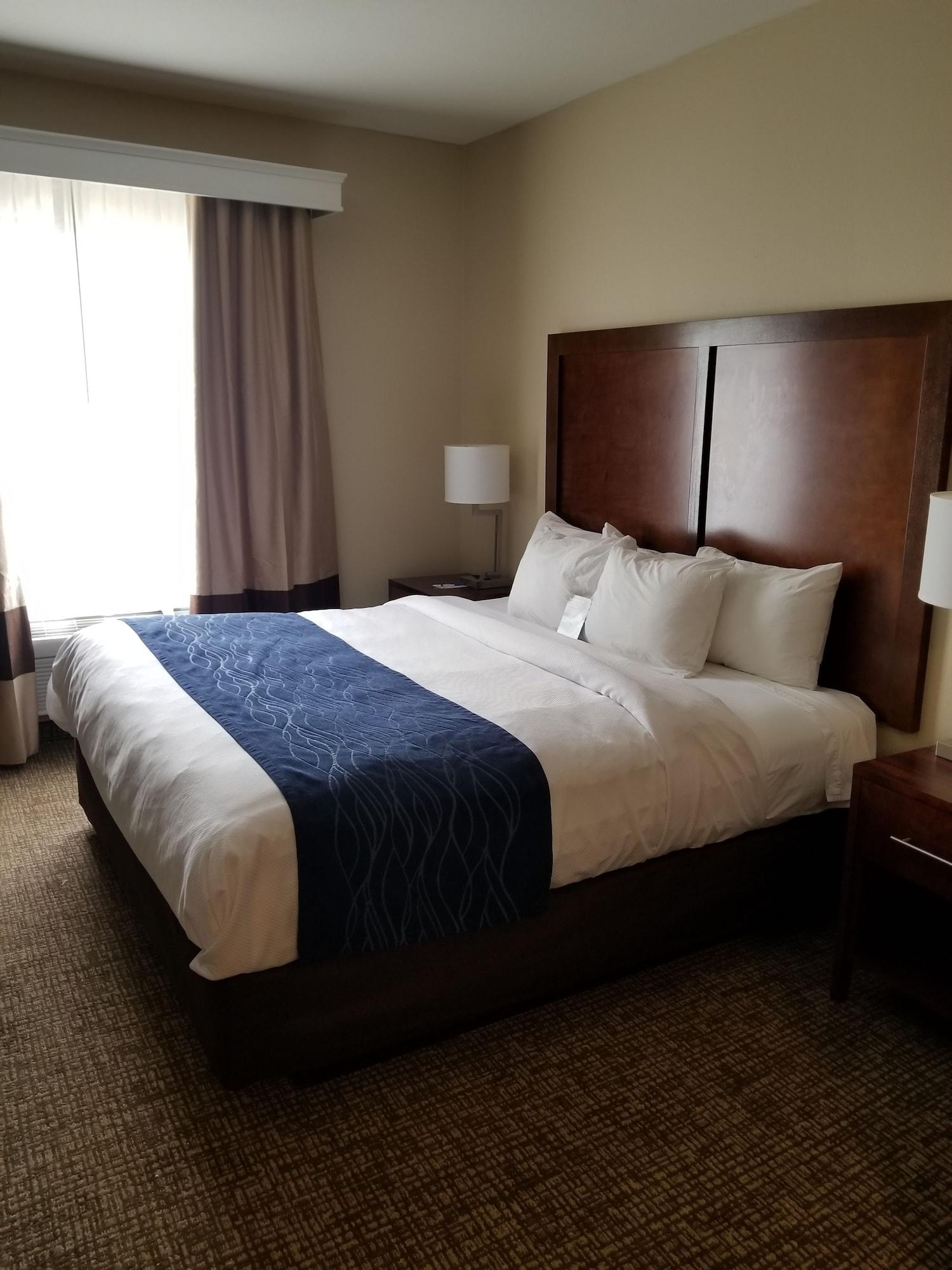 Sonesta Essential - Baton Rouge Airport Hotel Kültér fotó